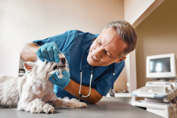 Best Emergency Wisdom Tooth Extraction in Coldstream, KY